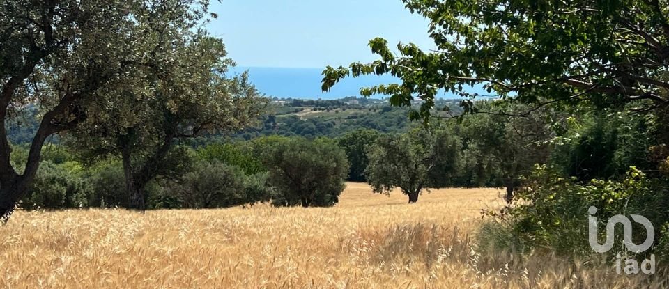 Terreno di 132.502 m² in Ripatransone (63065)