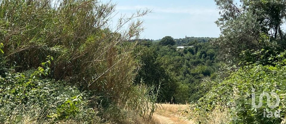 Terreno di 132.502 m² in Ripatransone (63065)