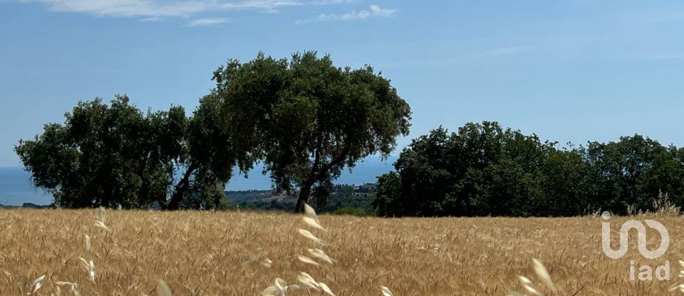 Terreno di 132.502 m² in Ripatransone (63065)