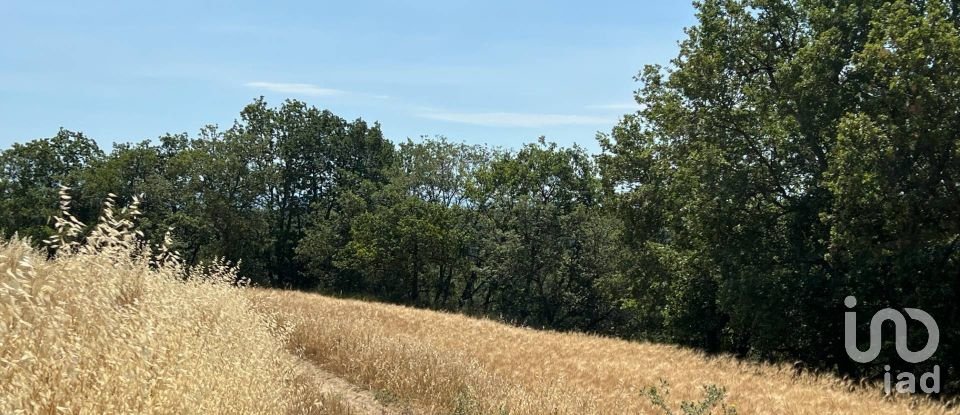 Terreno di 132.502 m² in Ripatransone (63065)