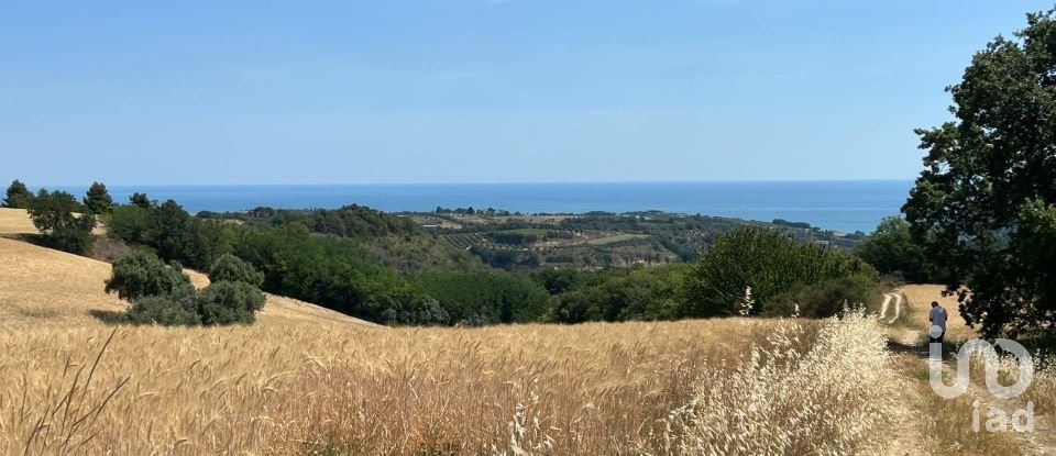 Terreno di 132.502 m² in Ripatransone (63065)