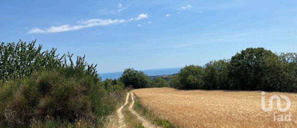 Terreno di 132.502 m² in Ripatransone (63065)