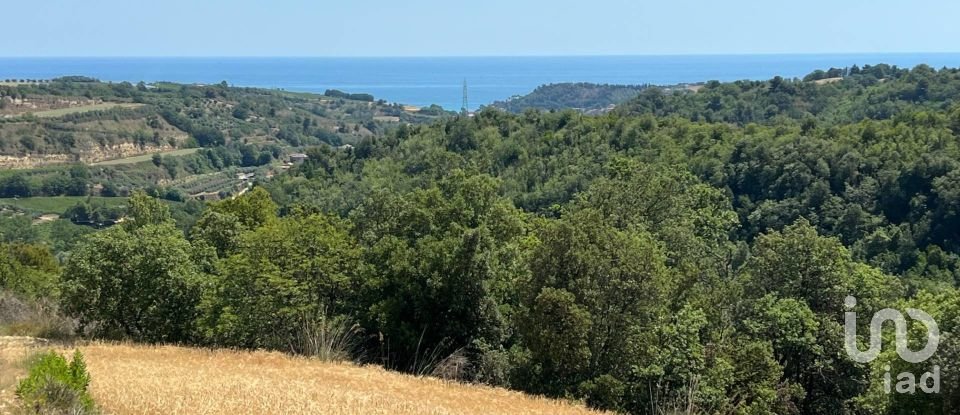 Terreno di 132.502 m² in Ripatransone (63065)