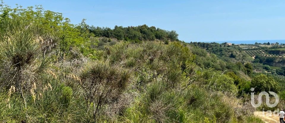 Terreno di 132.502 m² in Ripatransone (63065)