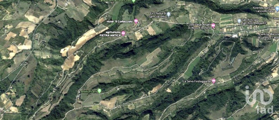 Terreno di 132.502 m² in Ripatransone (63065)