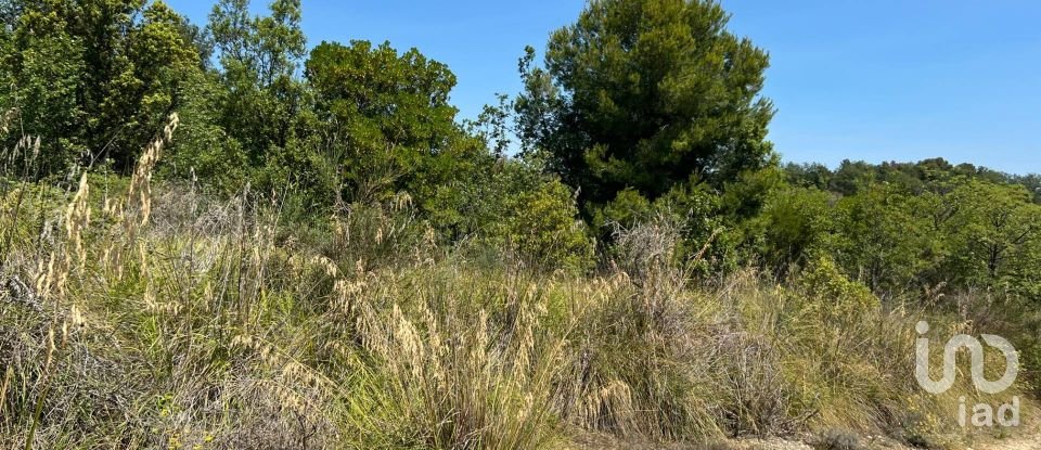 Terreno di 132.502 m² in Ripatransone (63065)