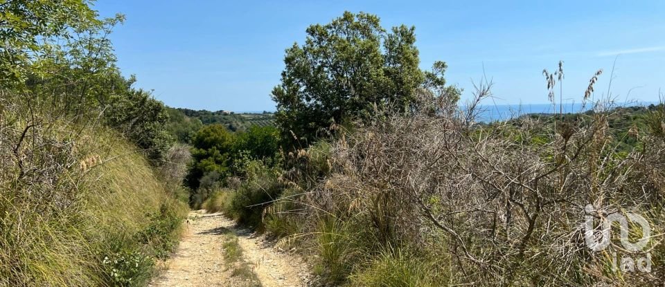 Terreno di 132.502 m² in Ripatransone (63065)