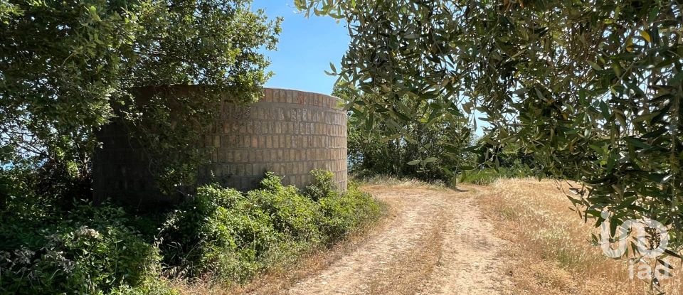 Terreno di 132.502 m² in Ripatransone (63065)