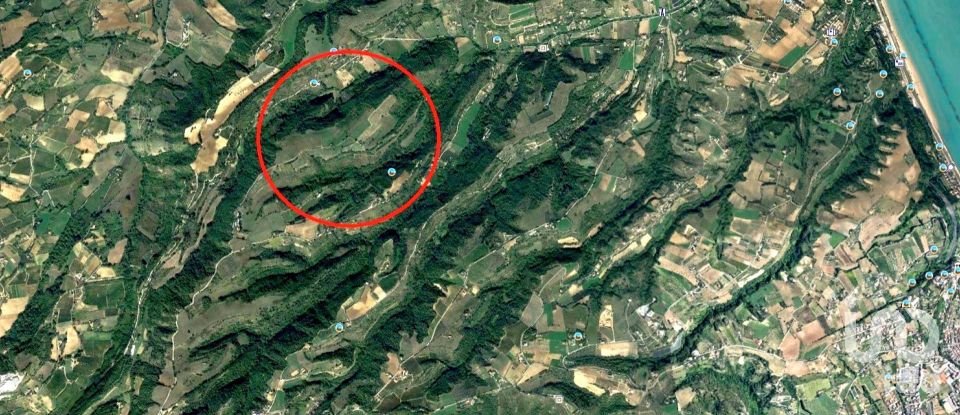 Terreno di 132.502 m² in Ripatransone (63065)