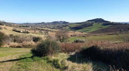 Land of 28,415 sq m in Osimo (60027)