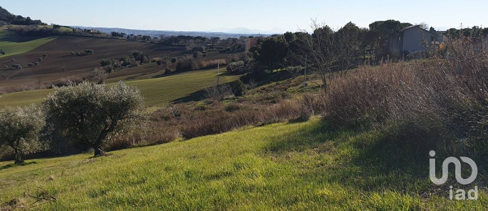Terreno di 28.415 m² in Osimo (60027)