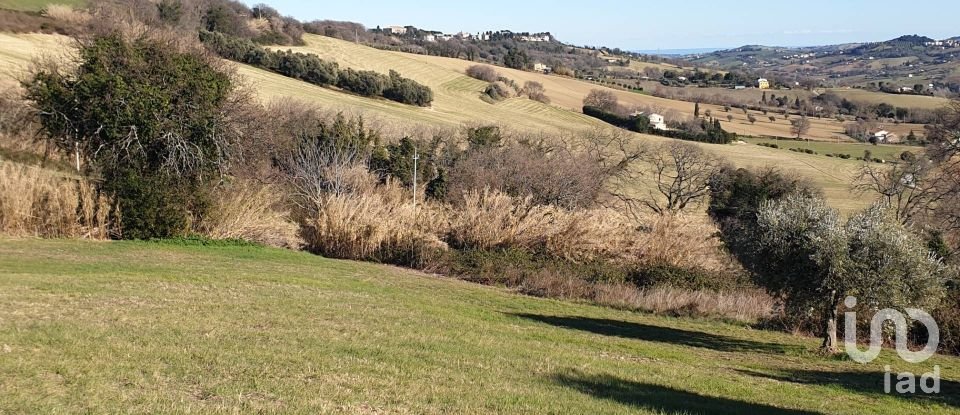 Terreno di 28.415 m² in Osimo (60027)
