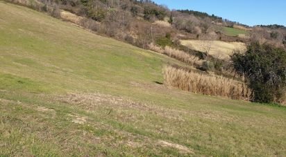Land of 28,415 m² in Osimo (60027)