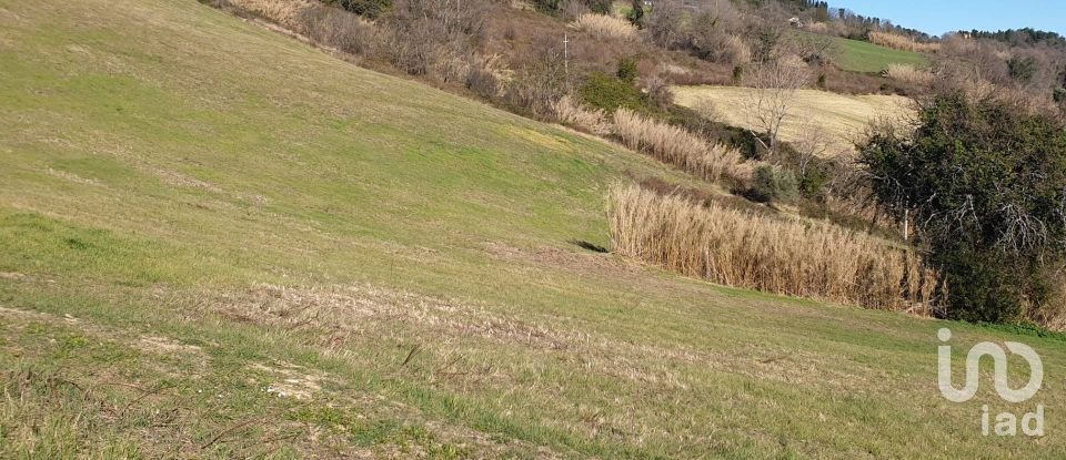 Terreno di 28.415 m² in Osimo (60027)