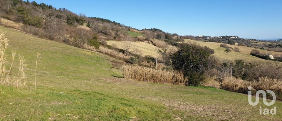 Terreno di 28.415 m² in Osimo (60027)