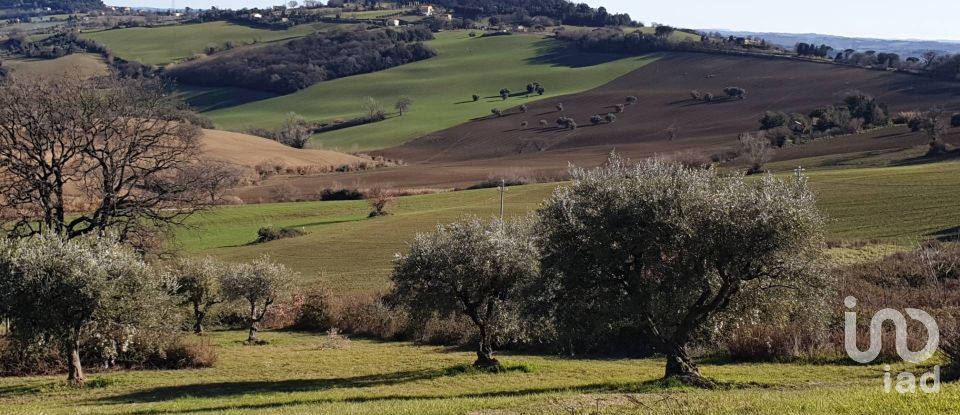 Land of 28,415 m² in Osimo (60027)