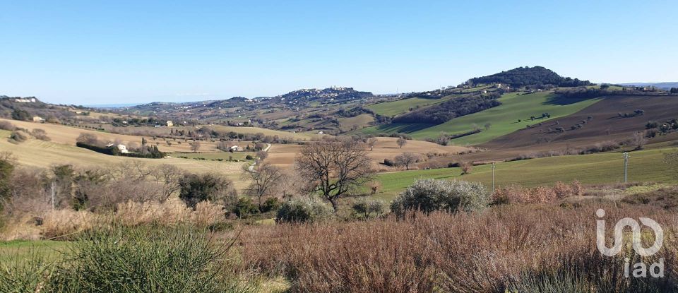 Terreno di 28.415 m² in Osimo (60027)