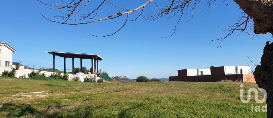Terreno di 28.415 m² in Osimo (60027)