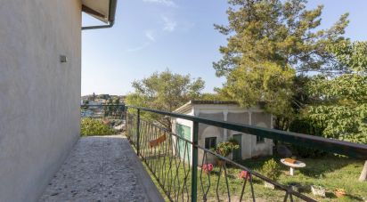 Casa indipendente 11 locali di 340 m² in Filottrano (60024)
