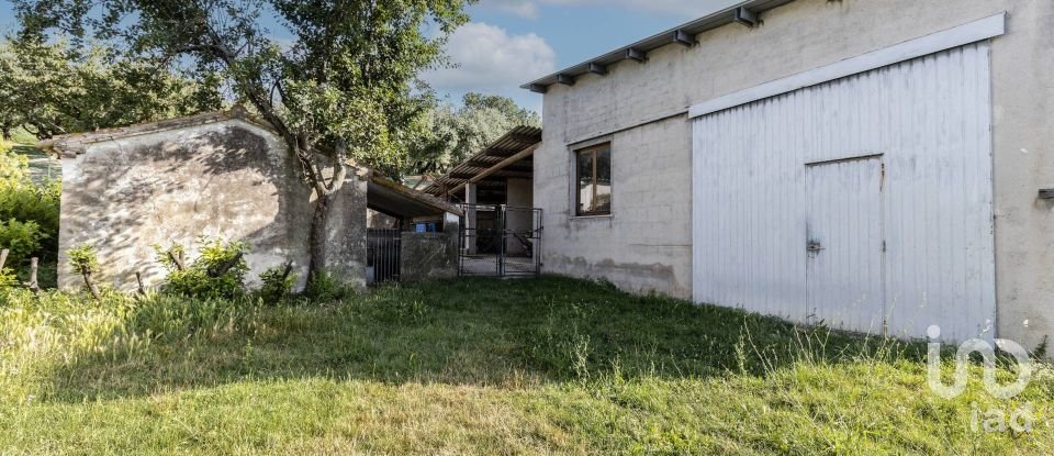 Casa indipendente 11 locali di 340 m² in Filottrano (60024)