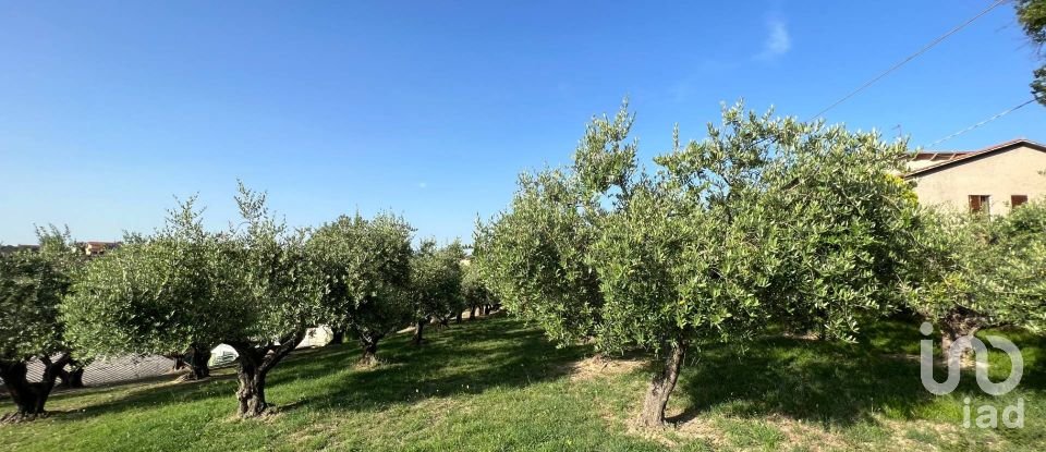 Casa indipendente 11 locali di 340 m² in Filottrano (60024)