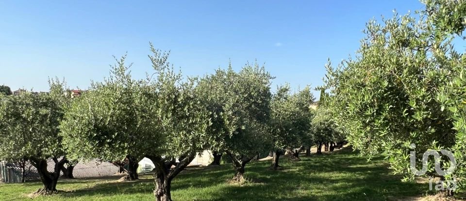 Casa indipendente 11 locali di 340 m² in Filottrano (60024)