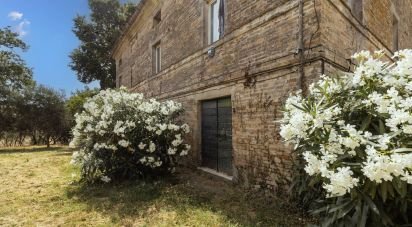 Rustico 12 locali di 478 m² in Recanati (62019)
