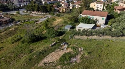 Terreno di 10.025 m² in Filottrano (60024)