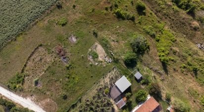 Terreno di 10.025 m² in Filottrano (60024)