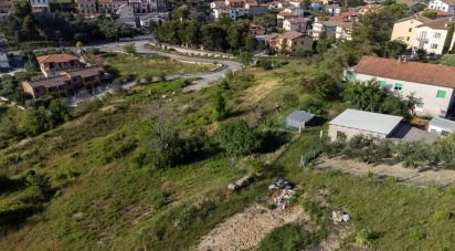 Terreno di 10.025 m² in Filottrano (60024)