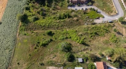 Land of 10,025 m² in Filottrano (60024)
