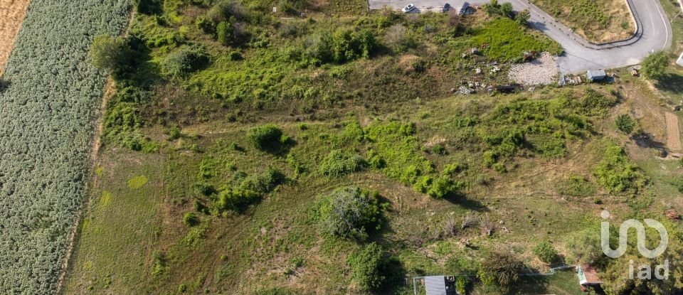 Terreno di 10.025 m² in Filottrano (60024)