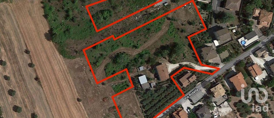Terreno di 10.025 m² in Filottrano (60024)