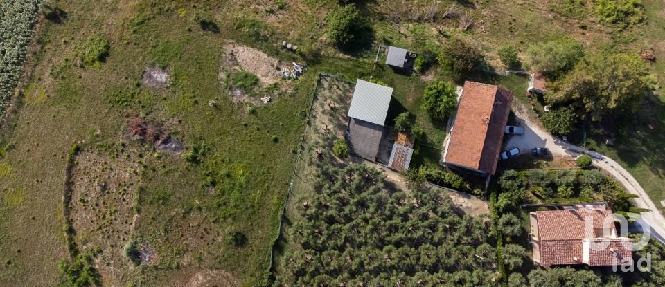 Land of 10,025 m² in Filottrano (60024)