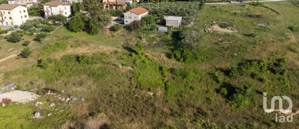 Terreno di 10.025 m² in Filottrano (60024)