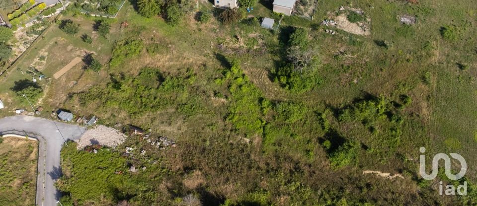 Terreno di 10.025 m² in Filottrano (60024)