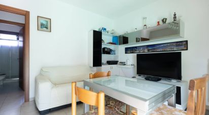 Two-room apartment of 45 sq m in Filottrano (60024)