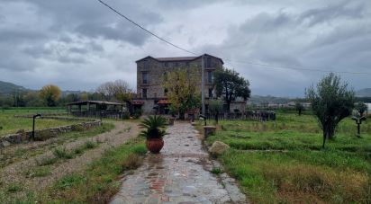 Palazzo / Stabile di 1.000 m² in Casal Velino (84040)