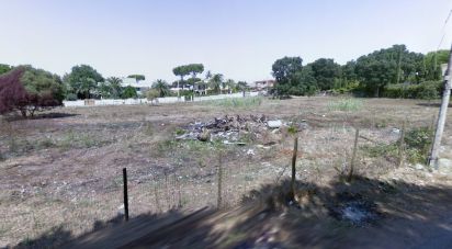 Terreno di 2.400 m² in Anzio (00042)