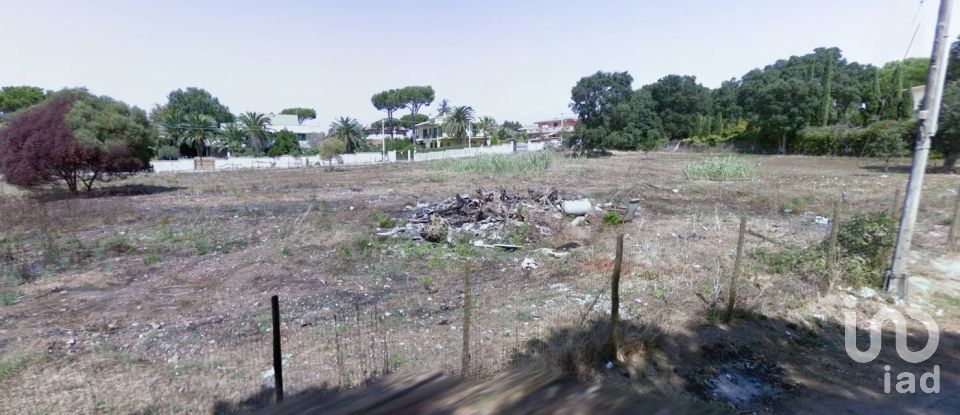 Land of 2,400 m² in Anzio (00042)