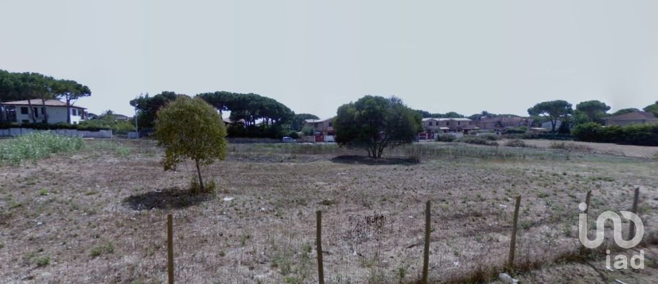Terreno di 2.400 m² in Anzio (00042)