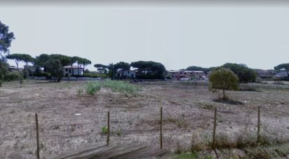 Terreno di 2.400 m² in Anzio (00042)