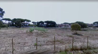 Land of 2,400 m² in Anzio (00042)