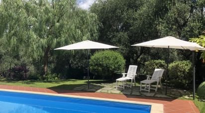 Casale 13 locali di 295 m² in Civezza (18017)