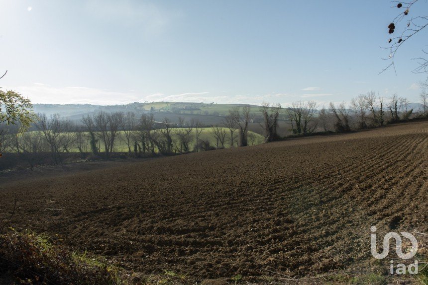 Terreno agricolo di 29.920 m² in Filottrano (60024)