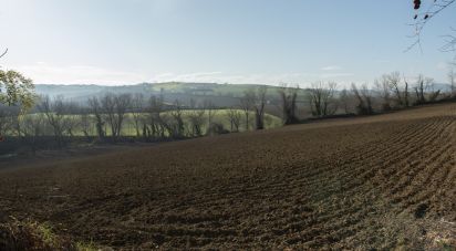 Terreno agricolo di 29.920 m² in Filottrano (60024)