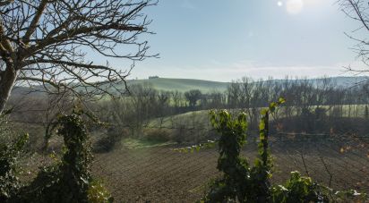 Terreno agricolo di 29.920 m² in Filottrano (60024)