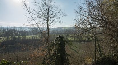 Terreno agricolo di 29.920 m² in Filottrano (60024)