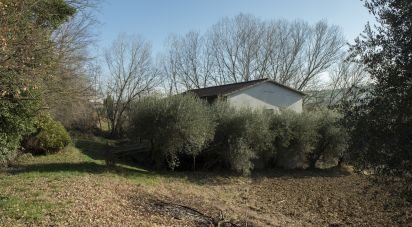 Terreno agricolo di 29.920 m² in Filottrano (60024)