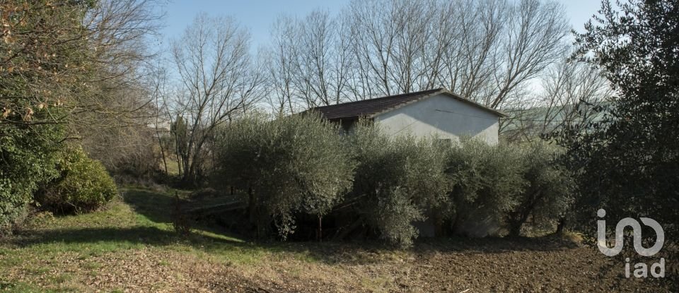 Agricultural land of 29,920 m² in Filottrano (60024)